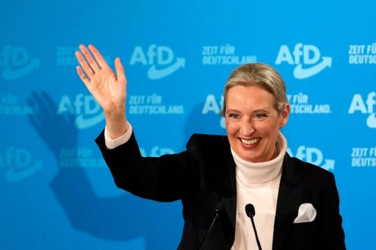 alice vaindel afd